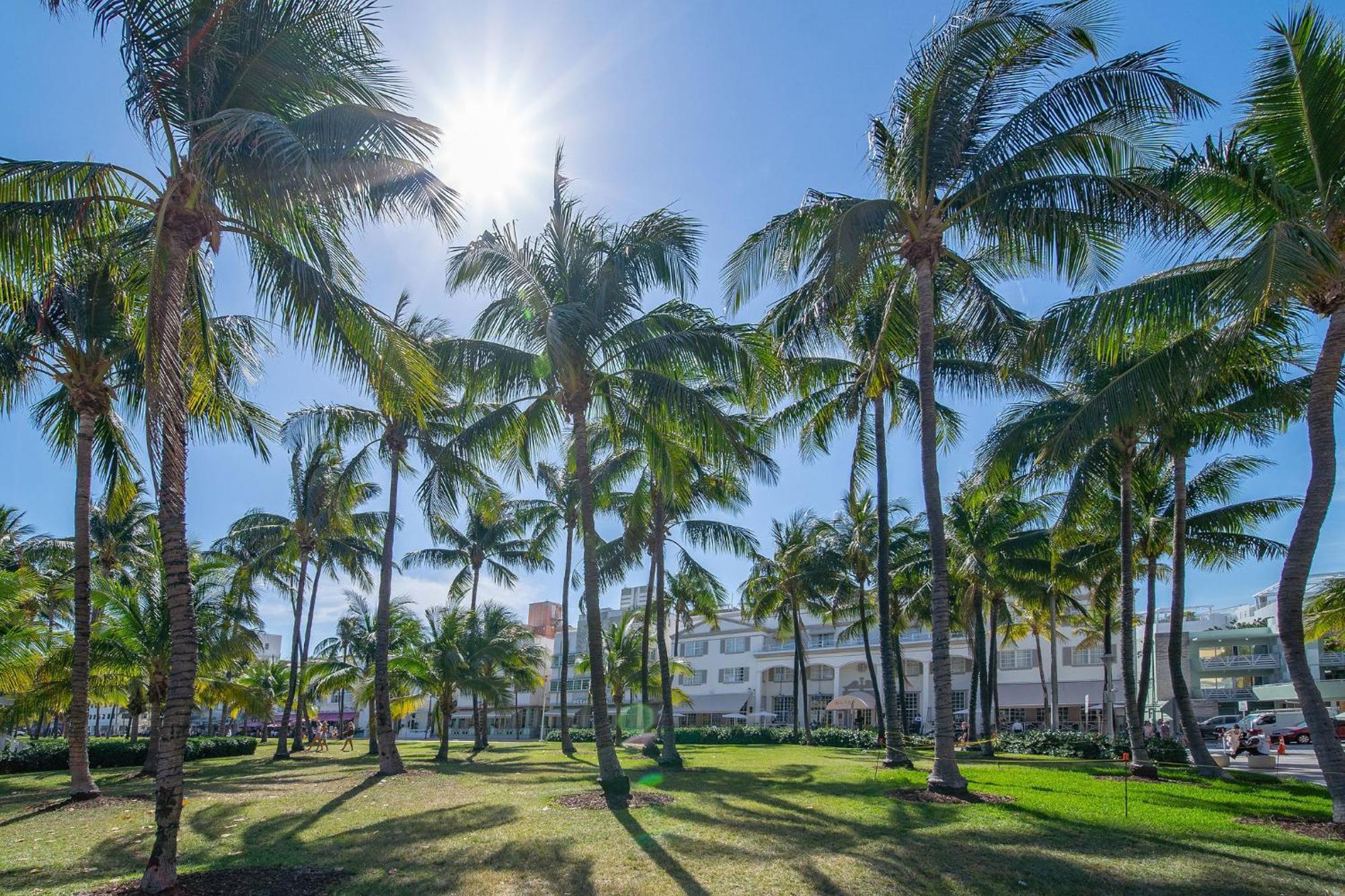Beachy 1 B/r, W/2 Queen Beds, On Ocean Drive Appartement *